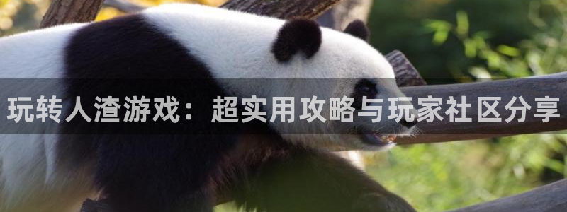 优贝娱乐登录网址：玩转人渣游戏：超实用攻略与玩家社区分享