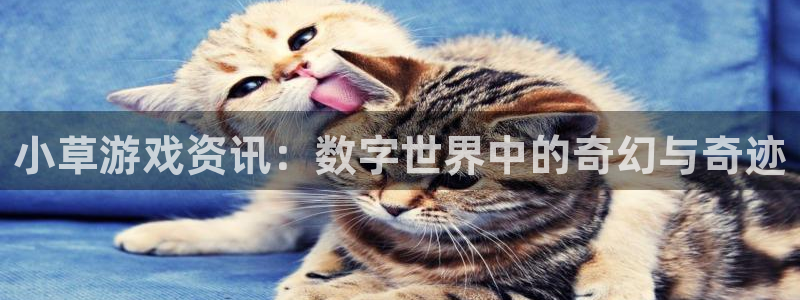 优贝娱乐网页登录入口下载：小草游戏资讯：数字世界中的奇幻与奇