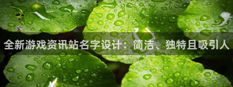 优贝娱乐手机网页版登录：全新游戏资讯站名字设计：简洁、独特且