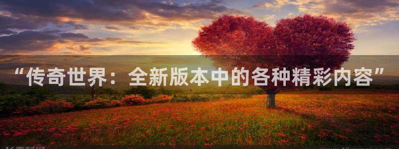 优贝娱乐app下载：“传奇世界：全新版本中的各种精彩内容”